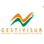 GESTIVISUR Gestión y Administración de F
